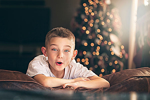 头像,兴奋,男孩,沙发,正面,圣诞树