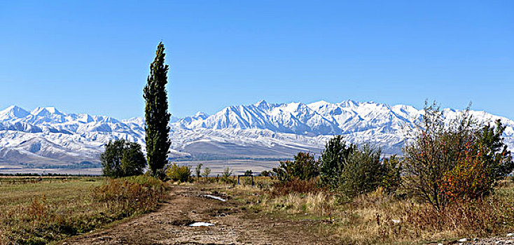 山谷,正面,天山,山,吉尔吉斯斯坦,亚洲