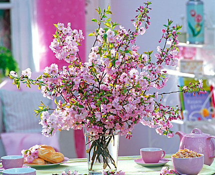 樱桃属,装饰,樱桃,花束,玻璃花瓶,粉色,茶杯