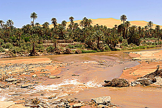 阿尔及利亚,撒哈拉沙漠