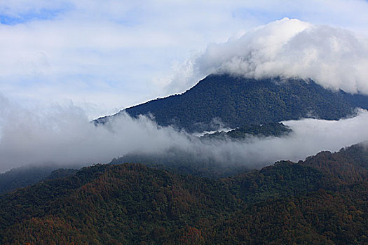 五指山风光