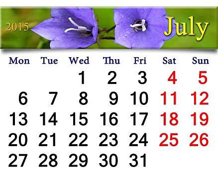 日程,七月,花,野风信子