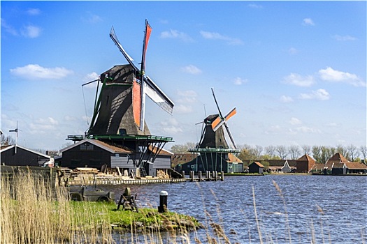 风景,两个,风车,靠近,阿姆斯特丹