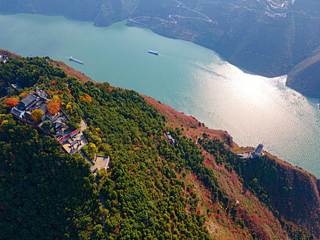 重庆巫山,红叶满山,游客如织