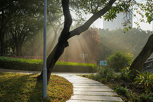 羊城广州冬天雨后的早晨晨雾与阳光