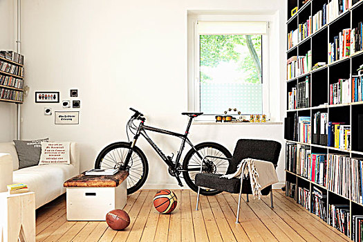 书架,自行车,老,撑竿跳,盒子,茶几,客厅