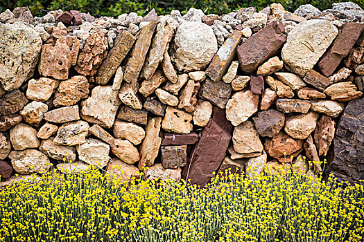 砖石建筑,石墙,花,米诺卡岛,巴利阿里群岛
