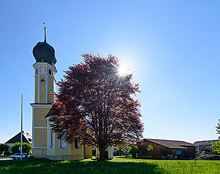 罗森海姆,朝圣教堂,神圣,血,上巴伐利亚,巴伐利亚,德国