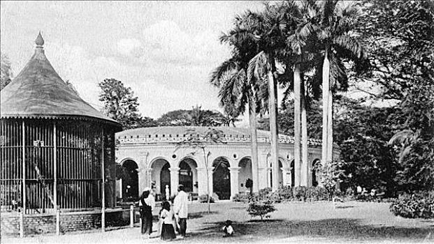 风景,动物园,加尔各答,印度,早,20世纪
