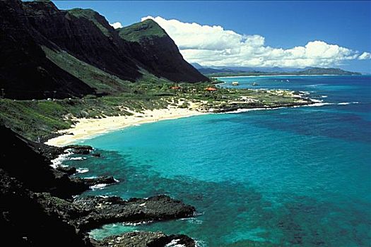 夏威夷,瓦胡岛,俯视,海滩,海洋生物,公园