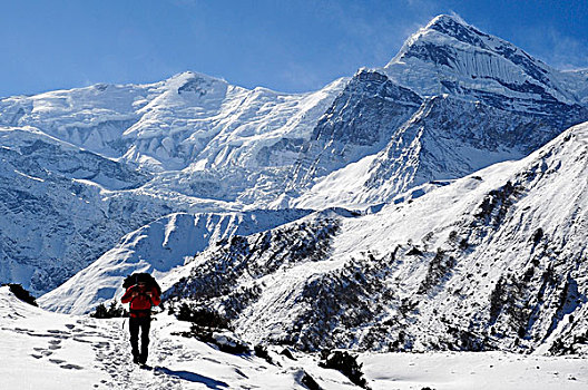 尼泊尔,安娜普纳,走,中间,高,风景,遮盖,雪