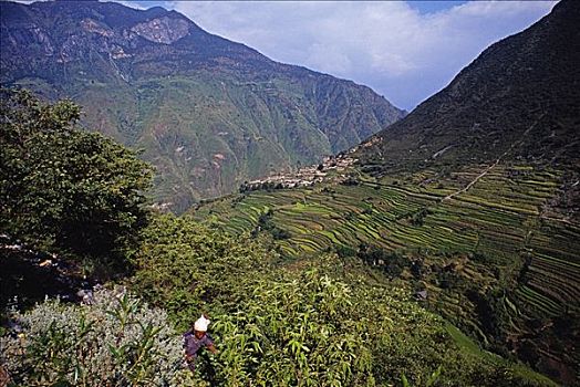 纳西,女人,小块土地,阶梯状,山坡,俯视,长江,北方