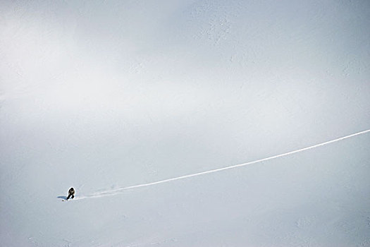航拍,越野滑雪