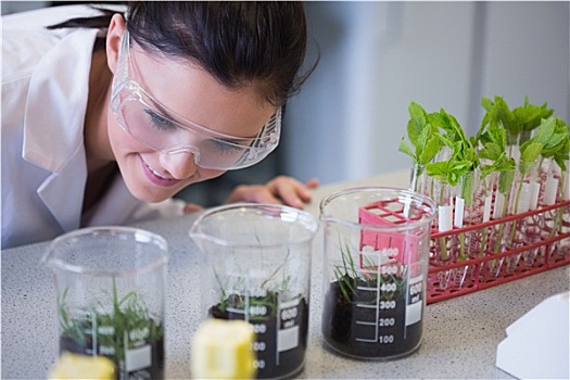女性,研究人员,看,年轻,植物,实验室