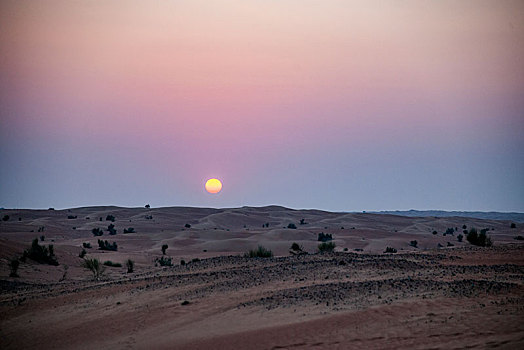 迪拜沙漠保护区中心的,大漠落日