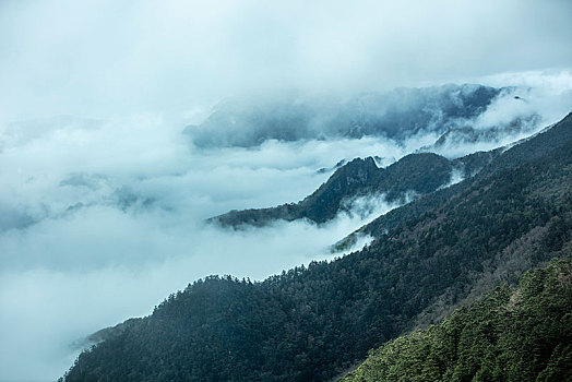 神农架,神农顶,风景,景点,旅游,高山,瀑布,河流,神秘,树木,植被,石头,鄂西,云海,峡谷,壮观