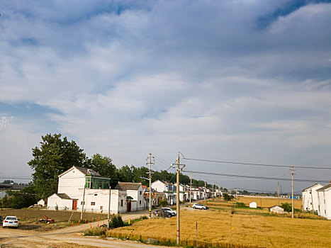 夏日苏北田园风光