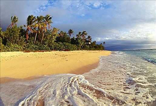 斐济,洗,热带沙滩,棕榈树,阴天
