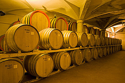葡萄酒,陈酿,橡树,桶,拱顶,地窖,蒙大奇诺,托斯卡纳,意大利,欧洲