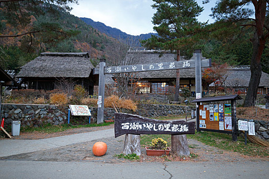 日本富士山河口湖里根场