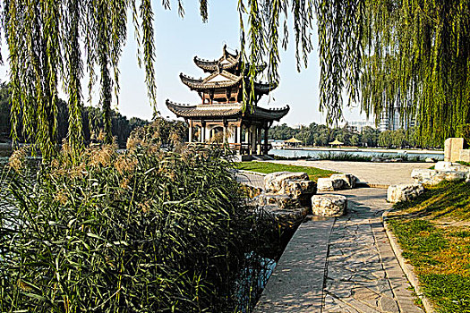 北京陶然亭公园小景
