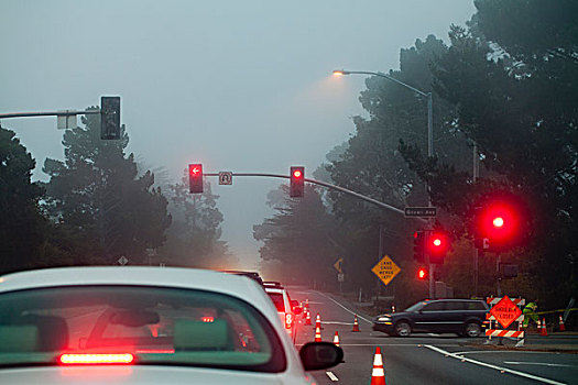 交通,停止,雾,红灯