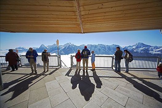 瑞士,伯恩高地,游客,注视,画廊,向外看,少女峰