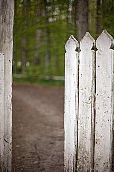 白围栏,打开,花园,大门