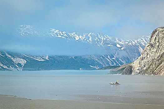 皮划艇手,短桨,薄雾,小湾,冰河湾国家公园,保存,东南阿拉斯加,夏天