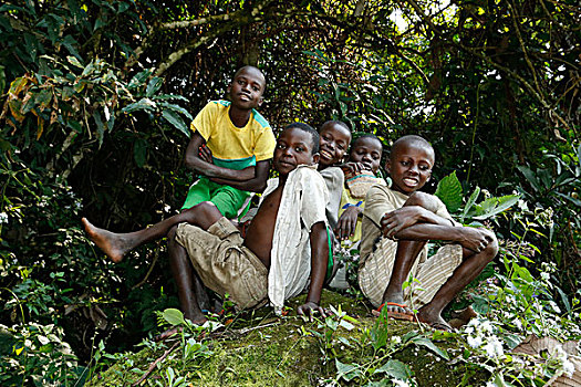 孩子,男孩,坐,丛林,省,刚果布拉柴维尔,非洲
