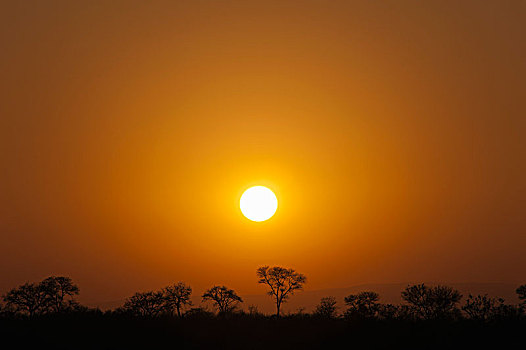 日落,上方,大草原,克鲁格国家公园,南非,非洲
