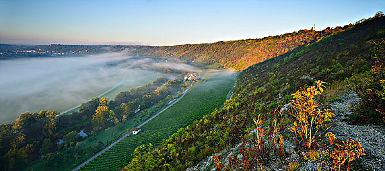 晨雾,山谷,靠近,萨克森安哈尔特,德国