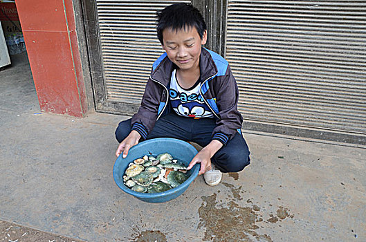 野生食用青头菌,夏季,素材,菌类,蔬菜,野生,野生青头菌,青头菌,食品,食材,食物,食用菌