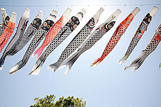 日本人,鲤鱼,彩带,装饰