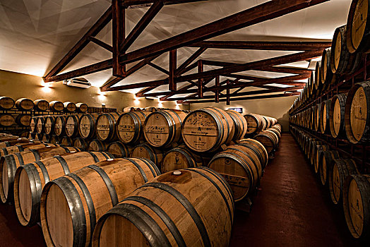 桶,葡萄酒厂,起点,杜罗河,葡萄酒,省,瓦亚多利德,西班牙,欧洲
