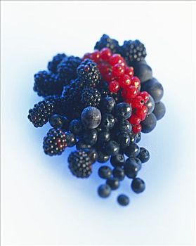 静物,蓝莓,红醋栗,黑莓