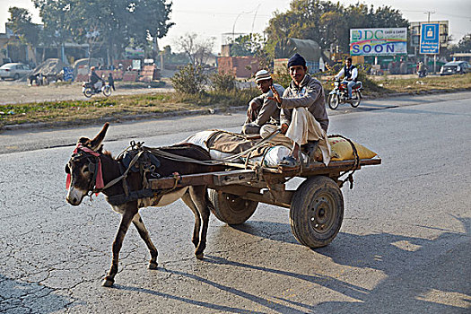 团队,驴,途中,巴基斯坦,亚洲