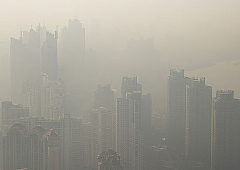 城市,烟雾,上海,中国