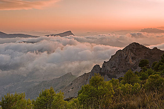 雾,上方,岩石,风景