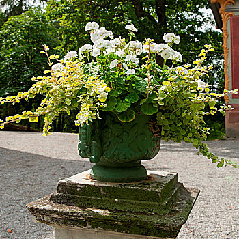 花,装饰性器皿,德罗特宁霍尔姆宫,斯德哥尔摩,瑞典