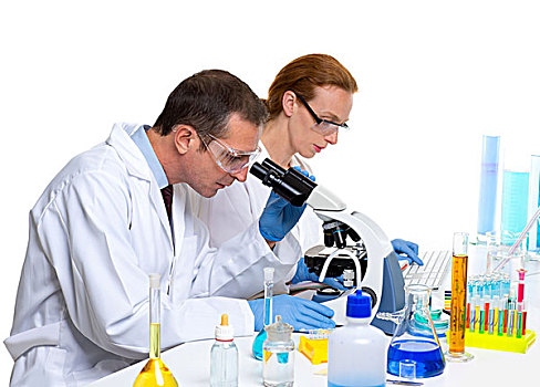 实验室,两个,科学家,工作,试管,长颈瓶,显微镜