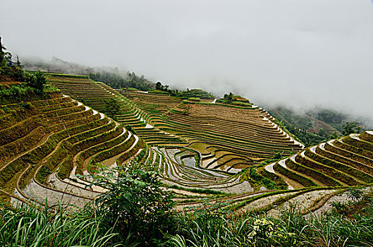 金坑梯田