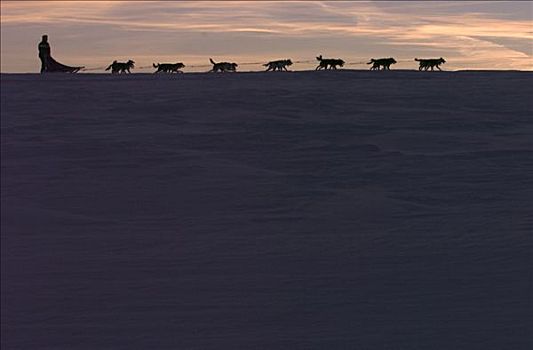 狗拉雪橇