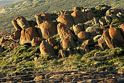 花冈岩,石头,西南方,澳大利亚