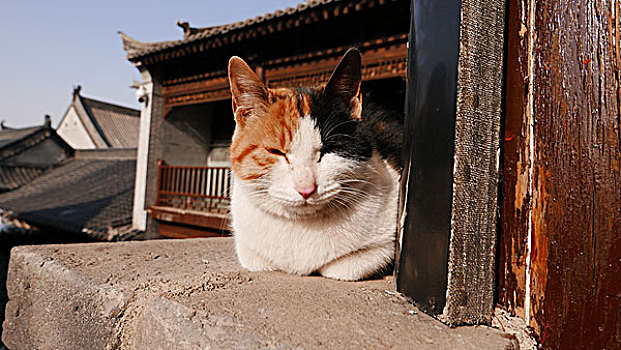 终南山古观音禅寺