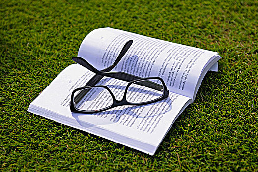 眼镜,书本,户外,草,教育,放松,学习,概念