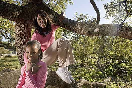 肖像,美国黑人,母女,坐在树上,枝条,公园,看镜头