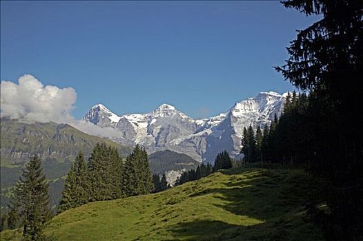 瑞士,伯恩高地,高山,草场,少女峰,山,背景