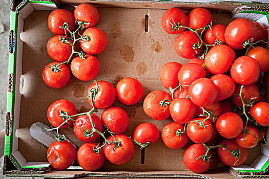 俯视,成熟,西红柿