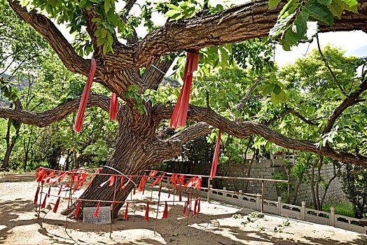 河北省石家庄市平山县佛光山风景区